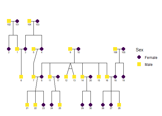 Plot of pedigree tree